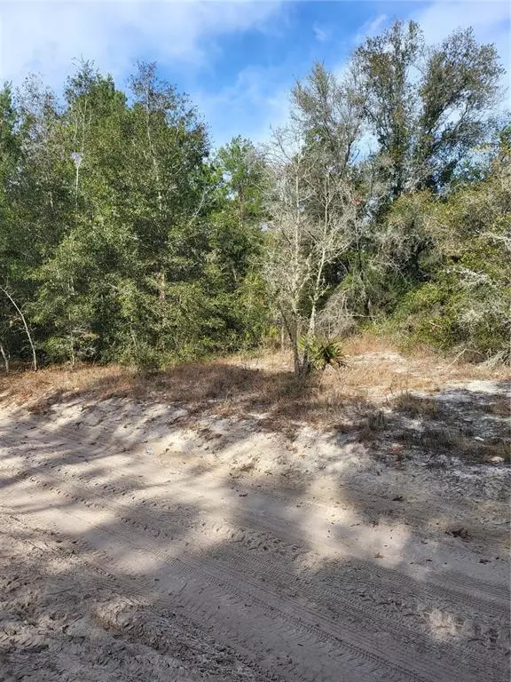 Dunnellon, FL 34432,SW 156TH PL