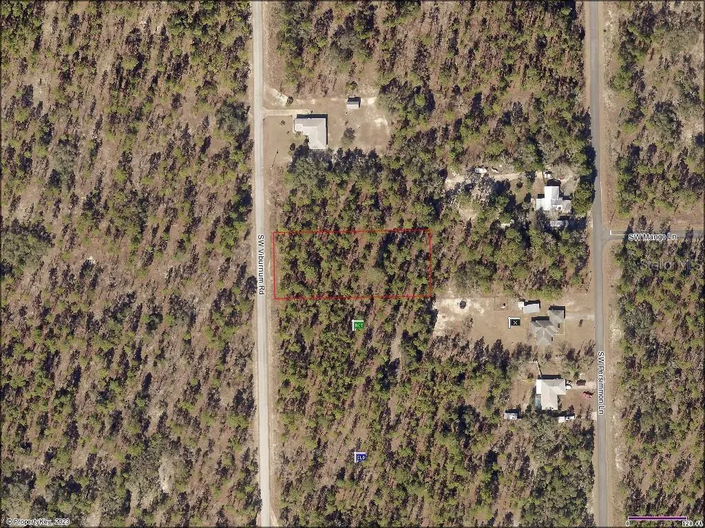 Dunnellon, FL 34430,TBD SW VIBURNAM RD,