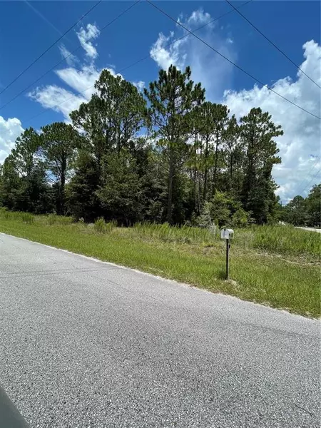 TBD SW 59TH LN, Dunnellon, FL 34431