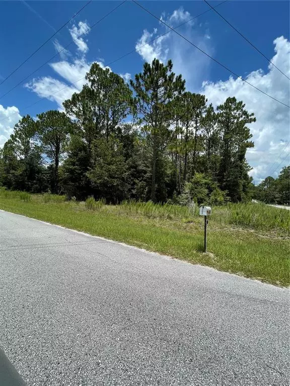 Dunnellon, FL 34431,TBD SW 59TH LN