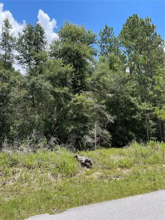 Dunnellon, FL 34431,TBD SW 59TH LN