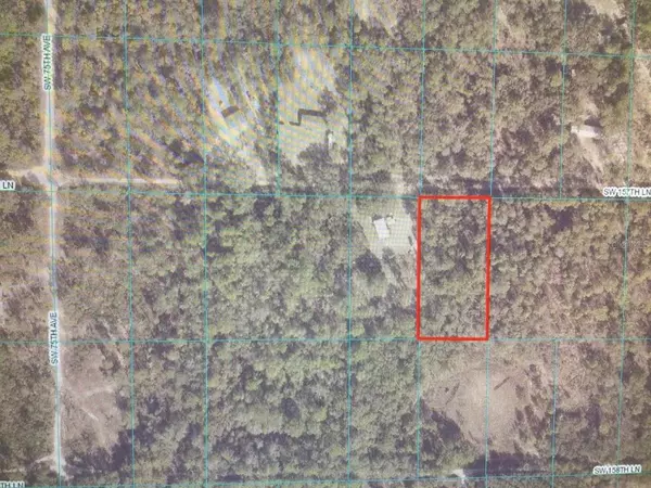 Dunnellon, FL 34432,0 SW 157 LN