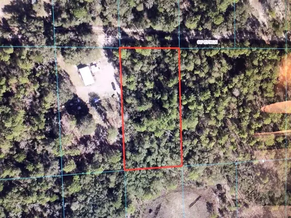 Dunnellon, FL 34432,0 SW 157 LN