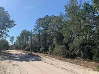 Dunnellon, FL 34432,21 SW 157TH LN