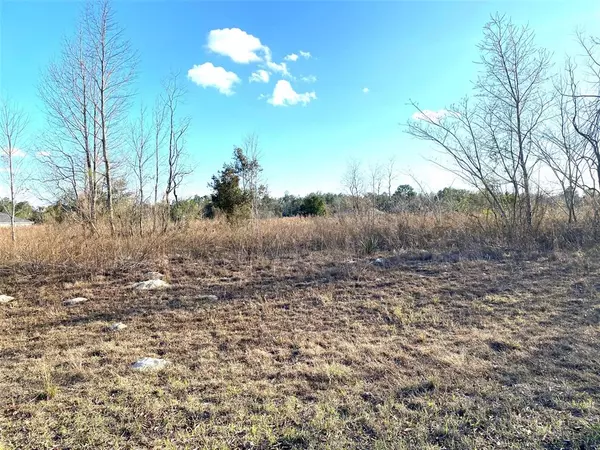 Ocala, FL 34473,Lot 7 SW 151ST STREET RD