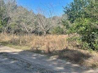 00 SE 143RD PL, Summerfield, FL 34491