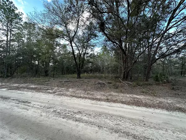 Bronson, FL 32621,TBD NE 85 ST