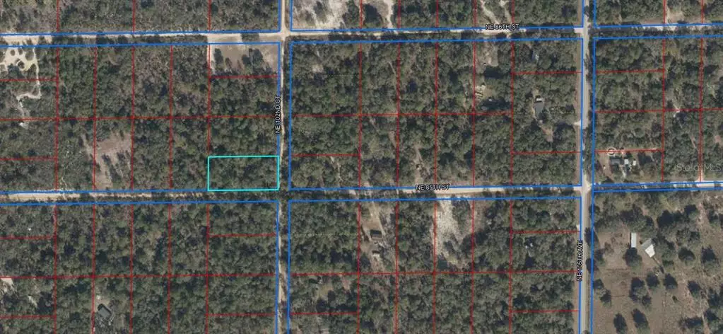 Bronson, FL 32621,TBD NE 85 ST