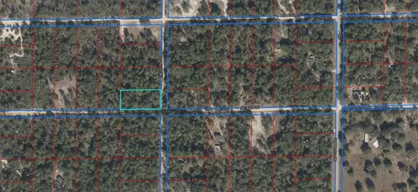 TBD NE 85 ST, Bronson, FL 32621