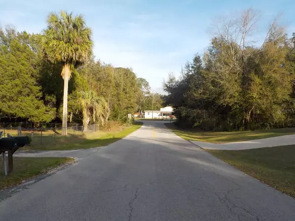 Summerfield, FL 34491,SE 139 LN