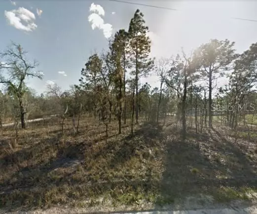 Morriston, FL 32668,TBD SE 25TH ST