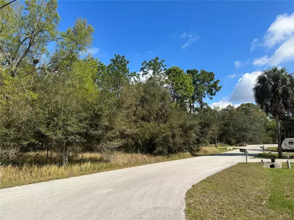 Ocala, FL 34472,0 PINE PASS DR