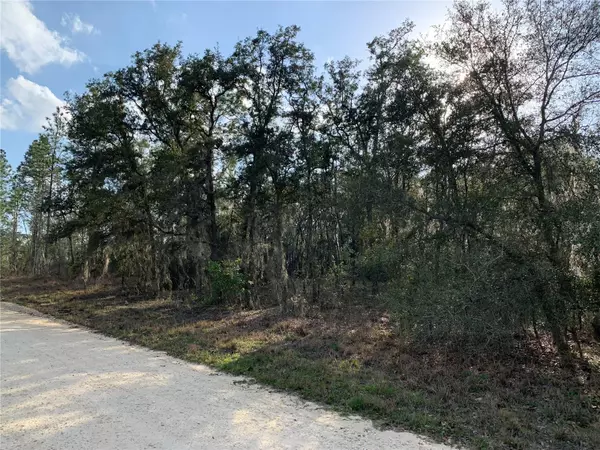 Williston, FL 32696,TBD NE 9TH ST