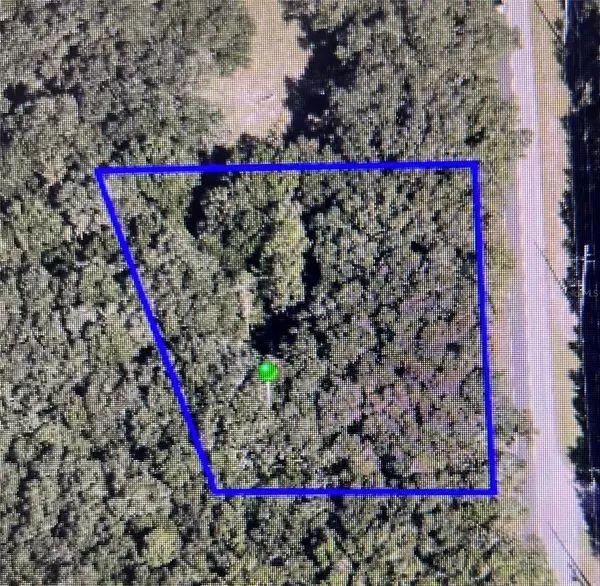 41015 COUNTY ROAD 25, Weirsdale, FL 32195