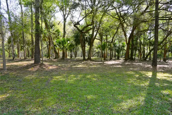 1750 CR 416N, Lake Panasoffkee, FL 33538