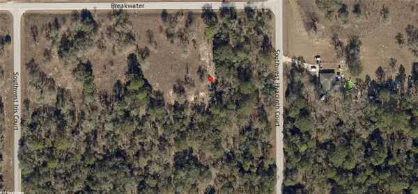 Dunnellon, FL 34431,00 SW HYACINTH CT