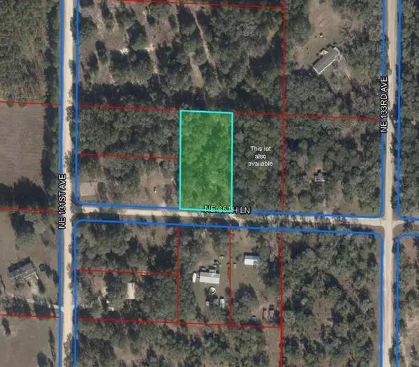 Williston, FL 32696,13151 NE 65TH LN