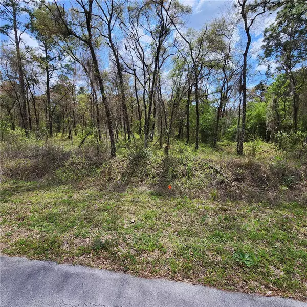 Dunnellon, FL 34431,LOT4 NW HANK HOFF AVE