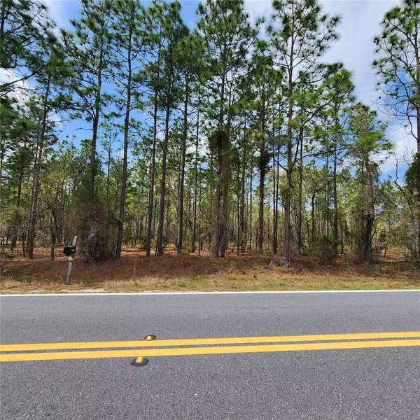 Dunnellon, FL 34431,LOT 7 NW RIDGEWOOD RD