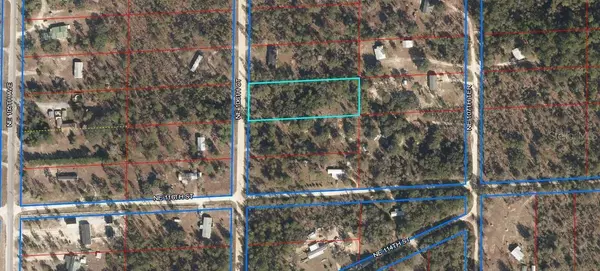 Archer, FL 32618,11691 NE 106TH CT