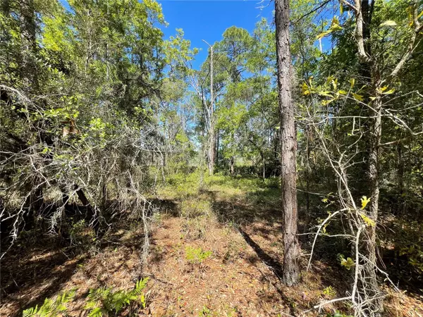 Dunnellon, FL 34431,Lot 485.486 SW SHOREWOOD DR