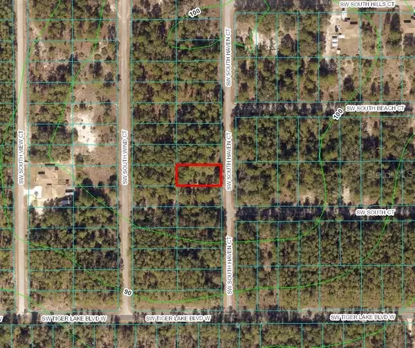 Dunnellon, FL 34431,00 SW SOUTHHAVEN CT