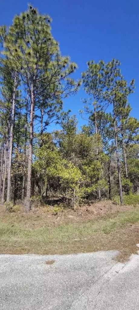 Dunnellon, FL 34431,Lot 29 NW SPARROW RD