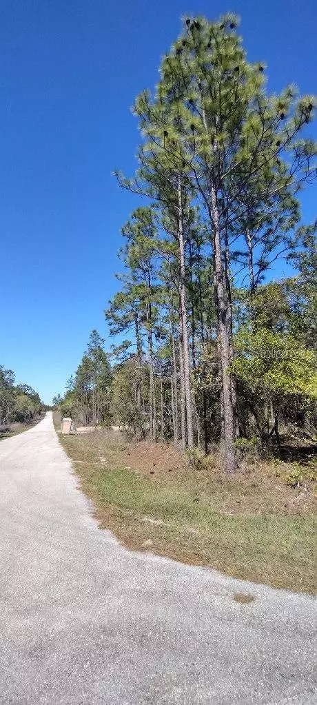 Dunnellon, FL 34431,Lot 29 NW SPARROW RD