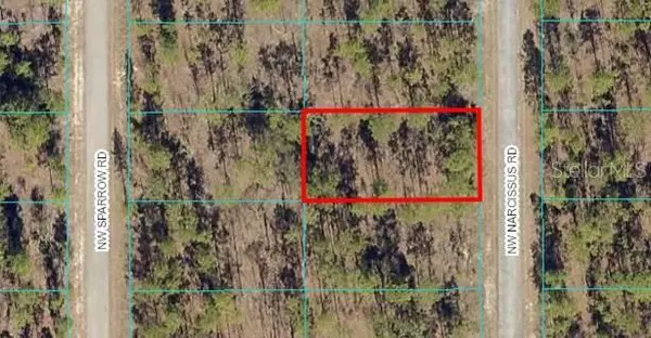 Dunnellon, FL 34431,Lot 43 NW NARCISSUS RD