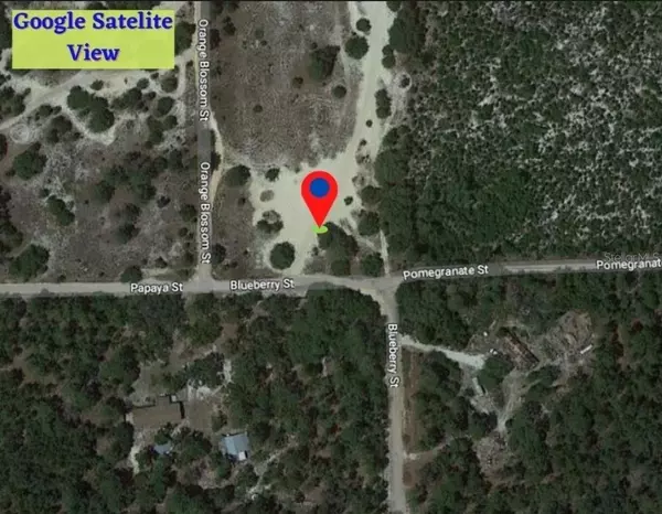 Pomona Park, FL 32181,0 ORANGE BLOSSOM