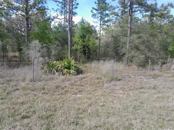 Morriston, FL 32668,11671 SE 71ST PL