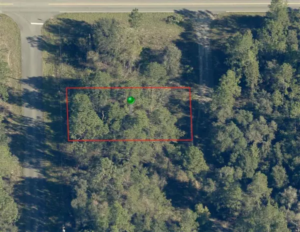 Citrus Springs, FL 34433,2821 W HIGGINS PL