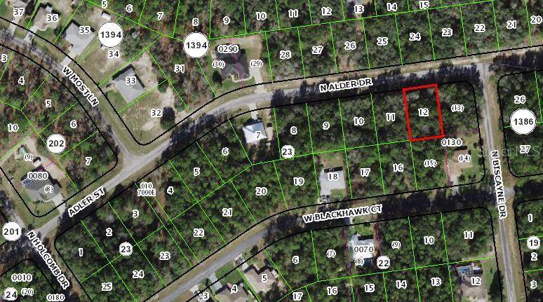 10553 N ADLER DR, Citrus Springs, FL 34434