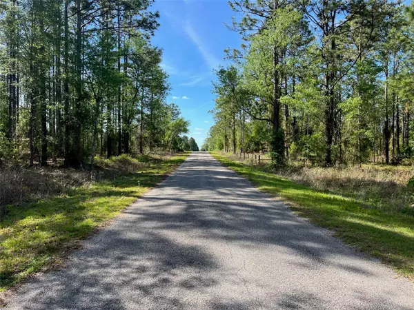 Dunnellon, FL 34431,00 SE 130TH COURT #LOT 21