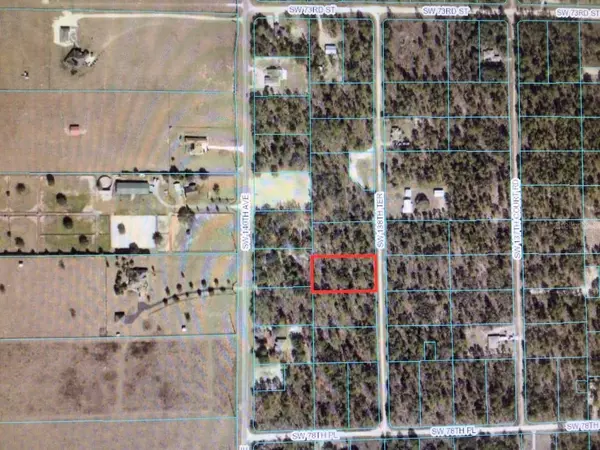 Dunnellon, FL 34432,0 SW 138 TER