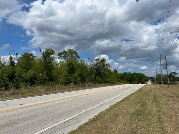 Weirsdale, FL 32195,S HWY 25