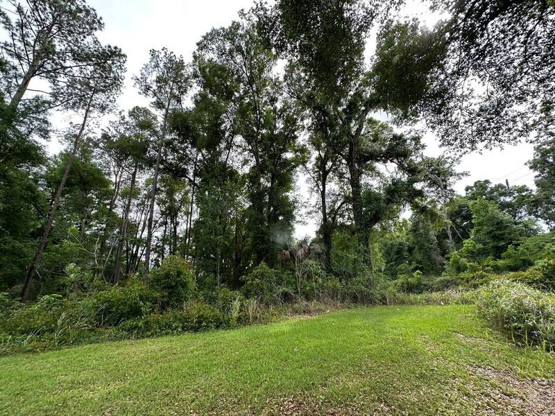 0 SE 132ND PL, Belleview, FL 34420