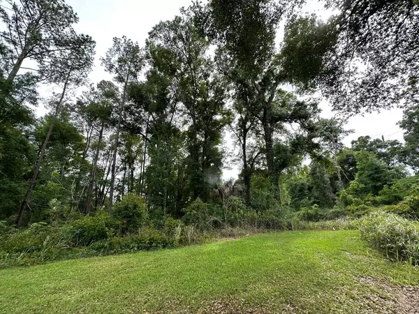 0 SE 132ND PL,  Belleview,  FL 34420