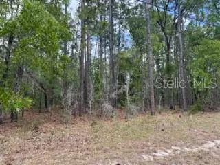 Lot 22 SW 137 ST, Ocala, FL 34473