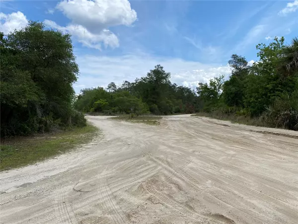 Fort Mc Coy, FL 32134,000 NE 305TH TER