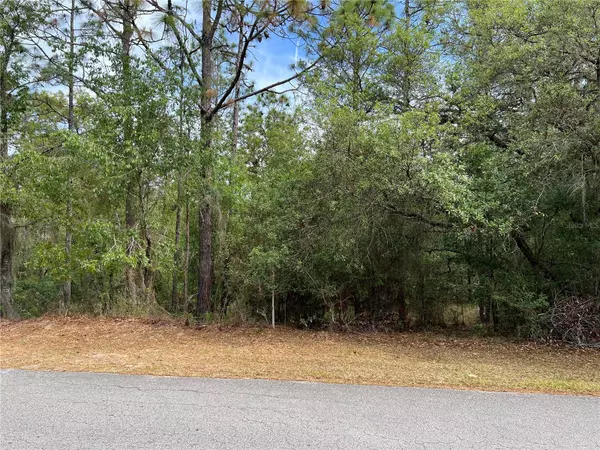 TBD SW 211TH CIR, Dunnellon, FL 34431