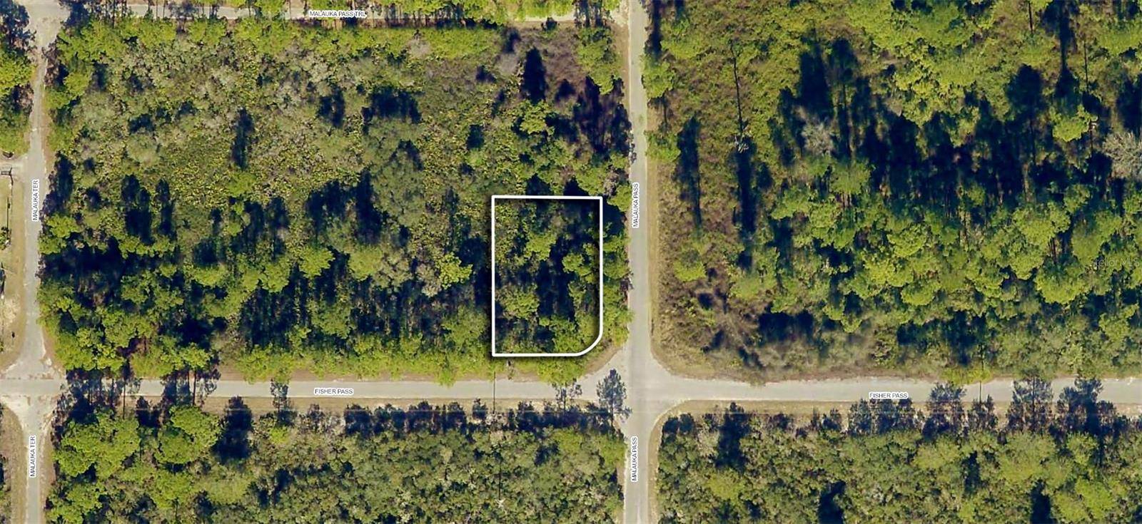 TBD FISHER PASS, Ocklawaha, FL 32179