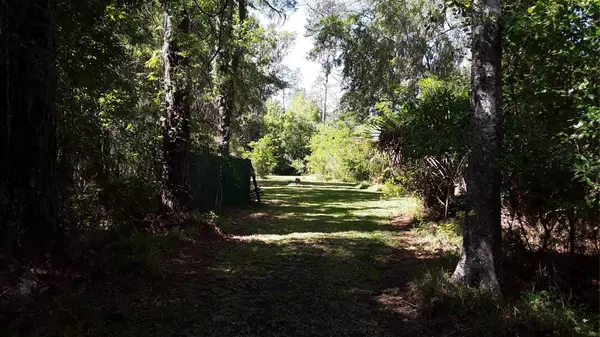 Micanopy, FL 32667,209 NW HIGHWAY 441 HWY