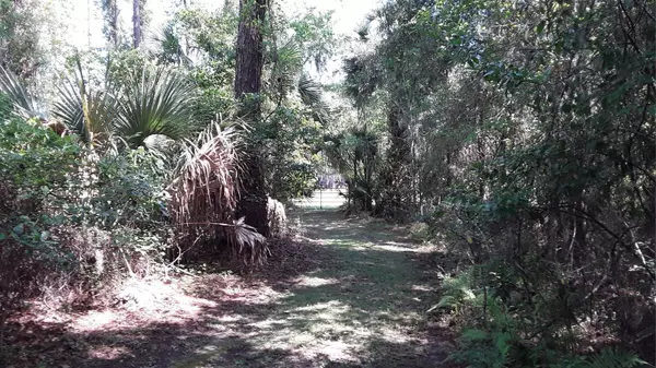 Micanopy, FL 32667,209 NW HIGHWAY 441 HWY