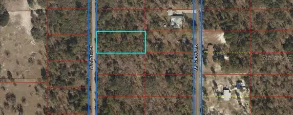 Dunnellon, FL 34431,00 SE 125TH CT