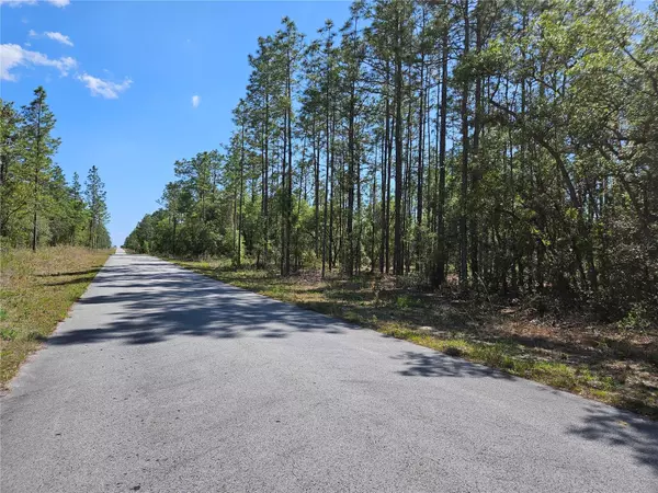 Dunnellon, FL 34431,TBD SW WINDINGHILLS RD #BLK 9 LOT 13