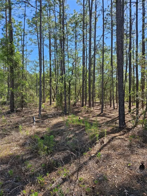 Dunnellon, FL 34431,TBD SW WINDINGHILLS RD #BLK 9 LOT 13