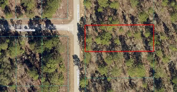 Lot 5 NW BUENA VISTA RD, Dunnellon, FL 34431