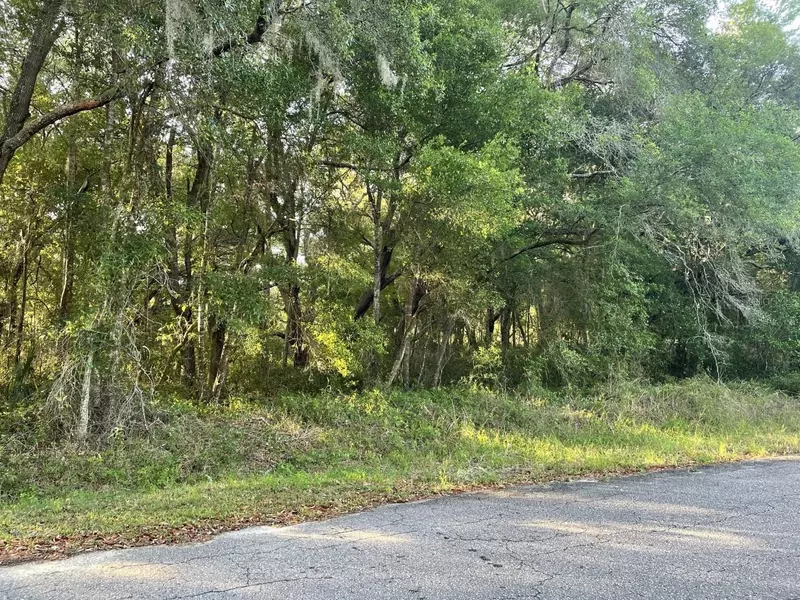 GUAVA LANE PL, Ocklawaha, FL 32179