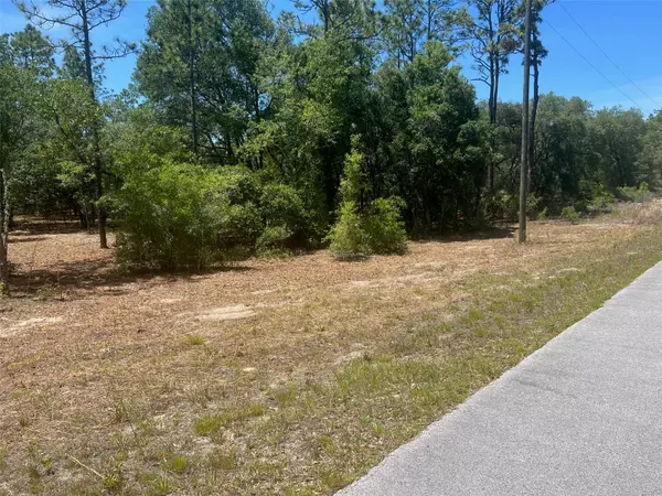 Dunnellon, FL 34431,00 SW WOOD RD